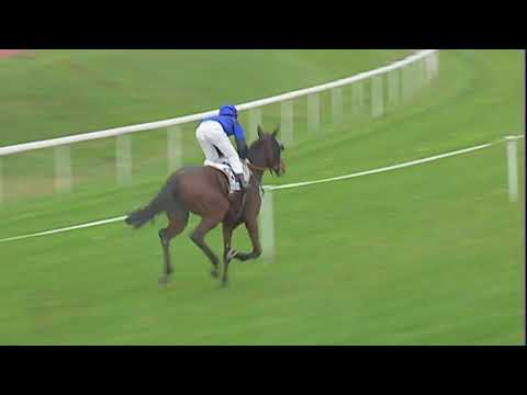 Avenches/11.11.2017/Prix Galop Suisse