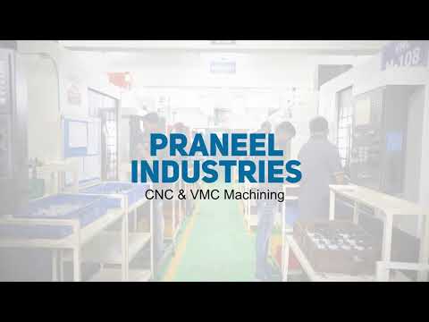 Praneel Group