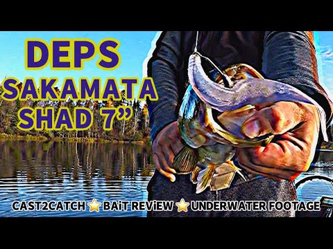 Deps Sakamata Shad 7” rigged Owner Beast Hook Style. Cast2Catch Bait Review + underwater footage