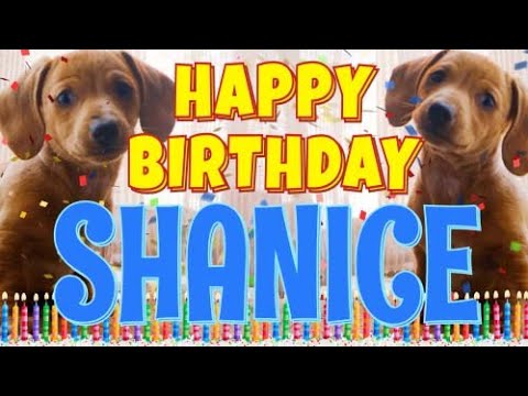 Happy Birthday Shanice! ( Funny Talking Dogs ) What Is Free On My Birthday