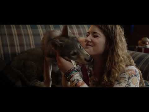 "Il Lupo e Il Leone" Alma e i cuccioli Mozart e Dreamer