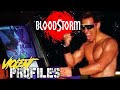 BloodStorm Violent Profiles
