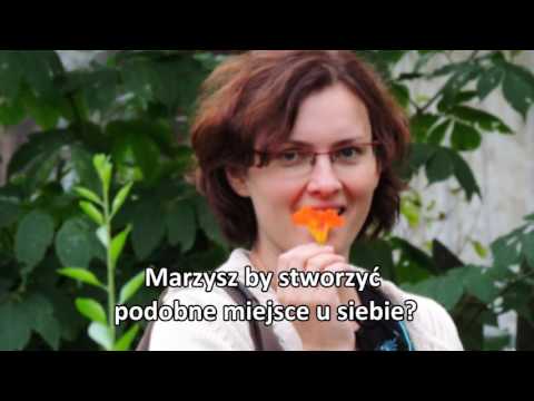 Warsztaty "Zbuduj swoją Arkę - w drodze do samowystarczalnści"