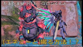 PSO2NGS 【ゴロンくん】エネミーと撮る方法！？