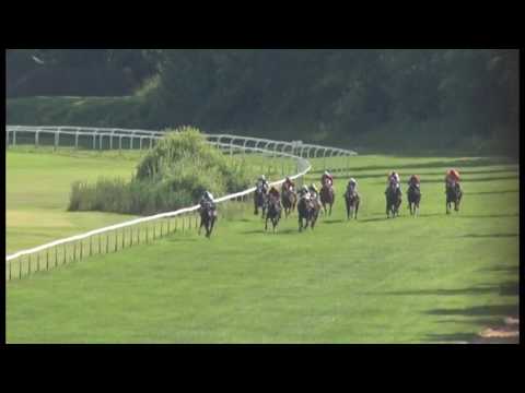 KV, 18. 6. 2017, 5. dostih - Cena společnosti LOKO TRANS, s.r.o.