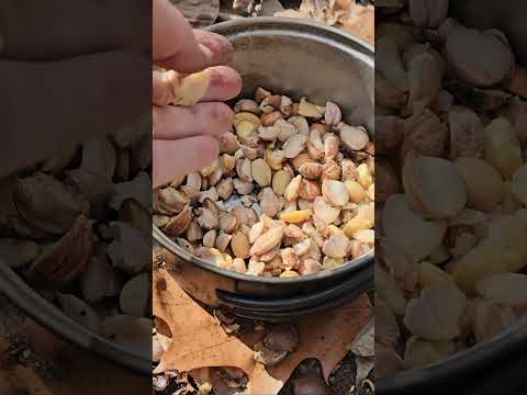 Boiled Cookies