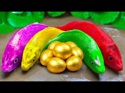 DIY Colorful Eggs Turtle Pool - Rainbow Catfish Trap Big Crocodile | ASMR Octopus MUKBANG