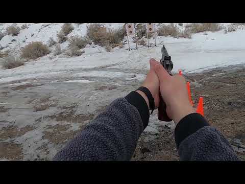"The Test" [2] 2/5/2023 (Smith & Wesson Model 19-5)