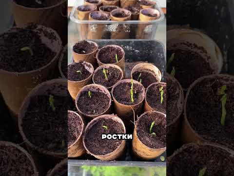 ЖЕСТЬ 🤬 НИКОГДА НЕ ДЕЛАЙТЕ ЭТО С ТУАЛЕТНОЙ БУМАГОЙ 🧻😱