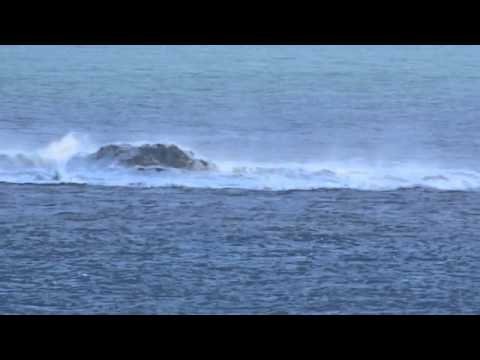 download lagu mp3 mp4 Islands Are Born, download mp3 Islands Are Born free download mp3, download mp3 Islands Are Born