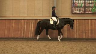 Video of Freestyle 255 FIN