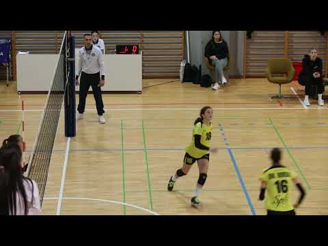 LEA DUGANDŽIĆ     OK BRDA   SPLIT  CROATIA   SETTER