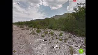 進行中の計画　＃482 geoguessr 実況