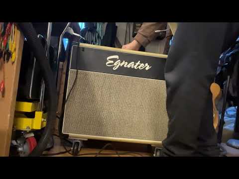 Egnater Renegade 212 65 watts image 4