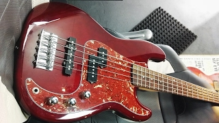 Video thumbnail for HARLEY BENTON PJ-5 HTR 5 string bass ( FULL REVIEW ) ✅ by Cory Mura