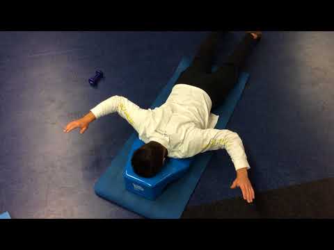 Injury Prevention Program Exercise 24: Scap 6 Ws