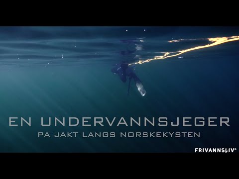 En undervannsjeger - På jakt langs norskekysten