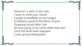 Barenaked Ladies - In the Drink Lyrics