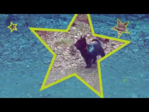 download lagu mp3 mp4 God Sndag, download lagu God Sndag gratis, unduh video klip God Sndag