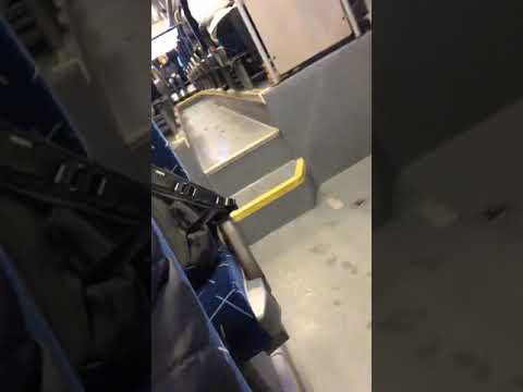 Det här är min buss