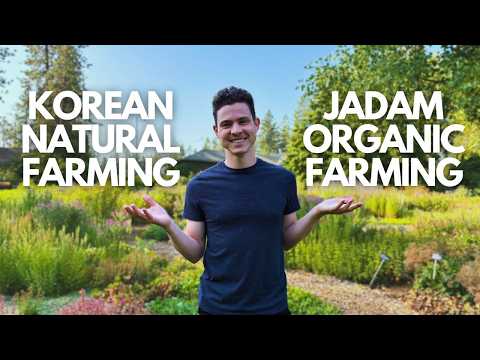 KNF or JADAM - Which is Best for your Garden?