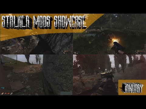 Stalker Mods Showcase 155 - January