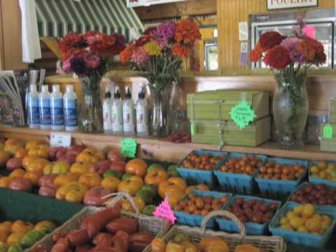 SUMMER PART 2 - New York State Agritourism Summer W