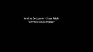 Andrea Ceccomori - Steve Reich 
