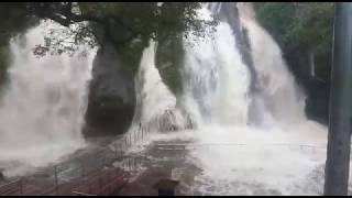 preview picture of video 'Kuttalam Water falls...'