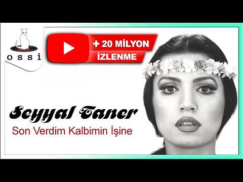 Son Verdim Kalbimin İşine - Seyyal Taner