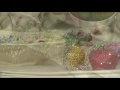 Belleek Annual Bell Basket On QVC