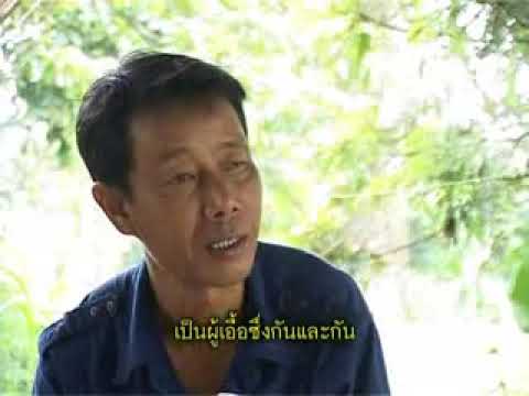 สารคดีสั้น ดอกไม้บาน สื่อสารความดี ตอนที่ 24
