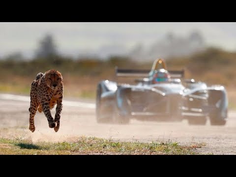 Gepard VS Formel E