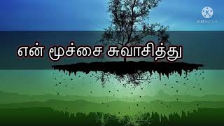 Tree whatsapp Status in Tamil