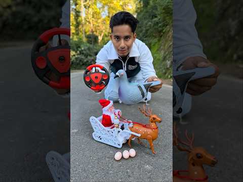 Pigeon Birds with Rc Santa Claus Sleigh And Reindeer gift🎁