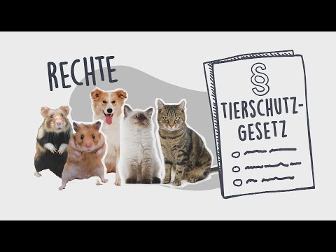 Die Rechte der Tiere – logo! erklärt – ZDFtivi