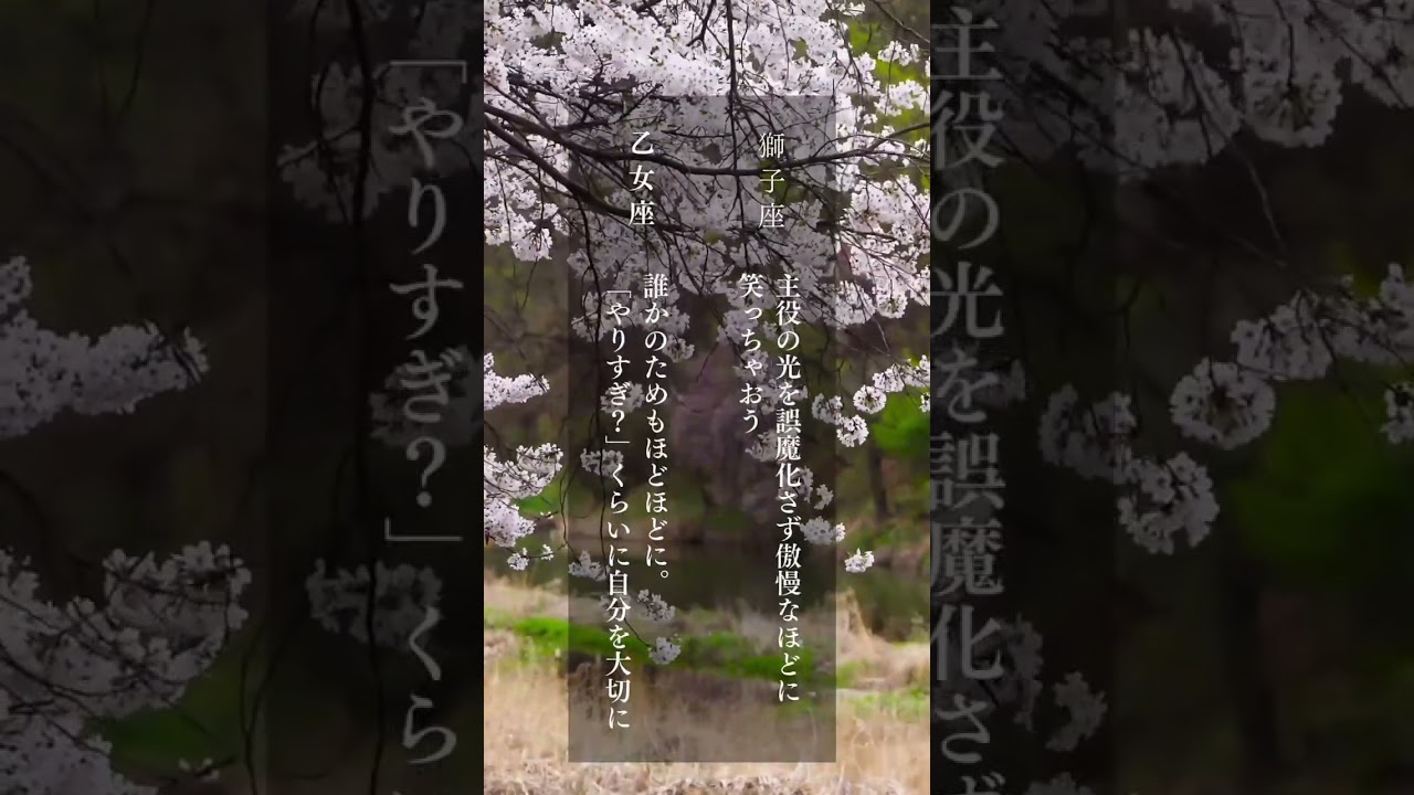 今週、“選ぶ力”が試される　12星座別メッセージ　#12星座占い #星座別メッセージ #占い