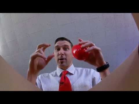download lagu mp3 mp4 Stand Up Easter Eggs, download lagu Stand Up Easter Eggs gratis, unduh video klip Stand Up Easter Eggs