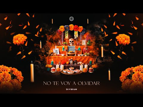 K1-Recordz and D I V I S I U M