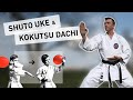 SHUTO UKE & KOKUTSU DACHI -- KARATE -- MICRO-FORMAT #6