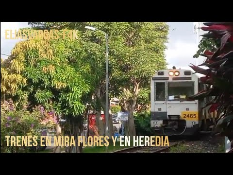 Trenes en Mira flores y en Heredia