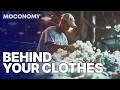 The True Origin Of Cotton Investigative Documentary