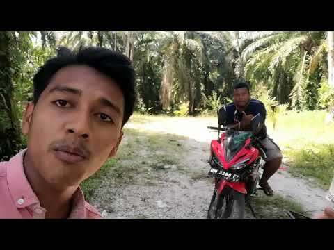 Viral,yogi tontang yg menyanyikan lagu jan dulin