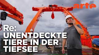 Ein Team, eine Mission, fünf Wochen im Atlantik | ARTE Re: Reupload