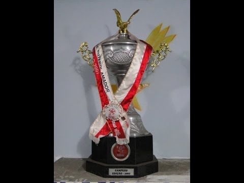 GDR DANÚBIO 2X2 FAMILIA 100 VALOR - BATERIA (PATCHOLA)