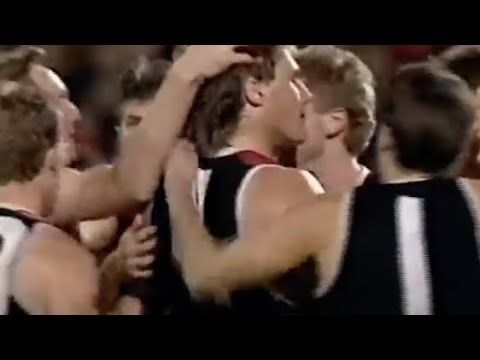 Adelaide v St.Kilda Round 22 1991