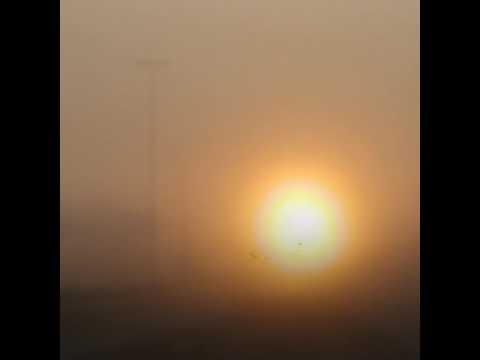 Überregionaler Final TdJ (Schweizer Meisterschaft) 27.10.19 Bülach/ZH - Die Fuhrhalterei