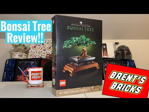 Lego Bonsai Tree Review!! Is it Worth the Price?!?!   10281