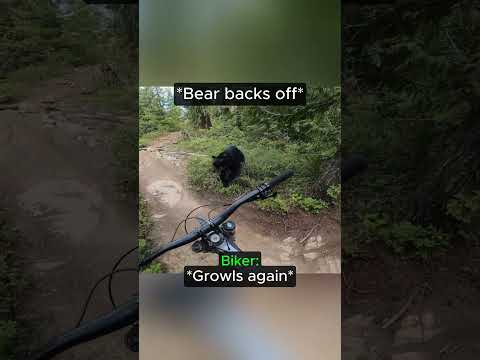Biker Spots Strange Dog