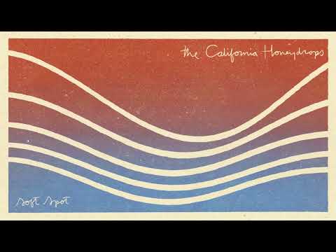 Lil Bit Of Love - The California Honeydrops